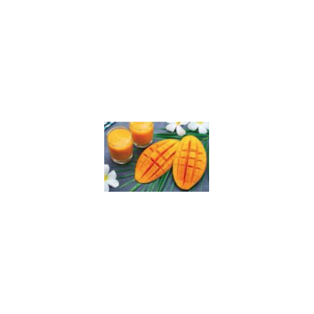 Jus de mangue 1L